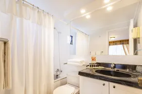 Park Plaza Apartments - Bathroom