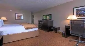 Ramada by Wyndham Boise - Chambre