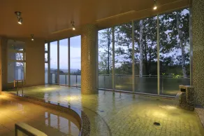 Shin Furano Prince Hotel - Bagno