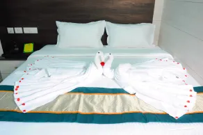 Hotel Aerostay Chennai Airport - Chambre