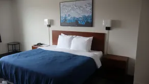 Town Centre Inn - Parry Sound - Værelse