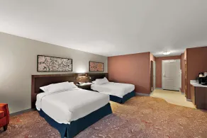 Hilton Garden Inn Omaha East/Council Bluffs - Chambre