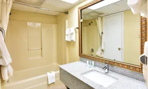Rodeway Inn Harbison Area - Salle de bain