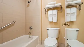 Best Western Plus Bessemer - Salle de bain