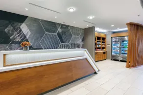 SpringHill Suites by Marriott Chattanooga South/Ringgold - Réception