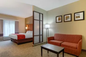 Comfort Suites Kingsport South - Chambre