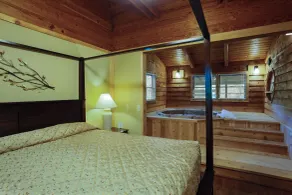 Forrest Hills Mountain Resort - Chambre