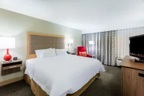 Hampton Inn Rochester-South - Chambre