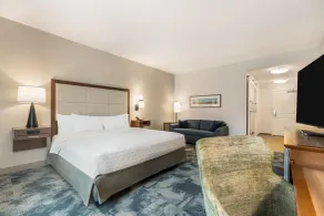 Hampton Inn & Suites Dallas/Plano-East - Chambre