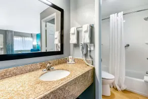 Comfort Inn Sun City Center - Ruskin - Tampa South - Salle de bain