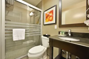 Holiday Inn NYC - Lower East Side - Salle de bain