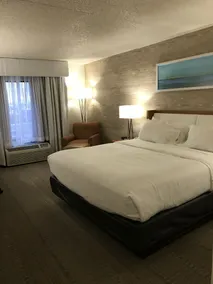 Holiday Inn & Suites Bolingbrook by IHG - Chambre