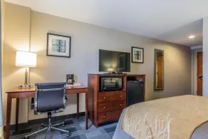 Comfort Inn SW Omaha I-80 - Room