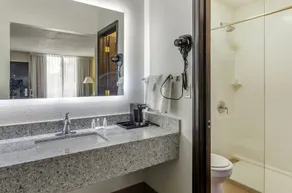 Quality Inn Verona - Staunton North - Salle de bain