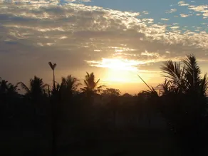 Bhanuswari Villas Ubud - Ausblick vom Zimmer