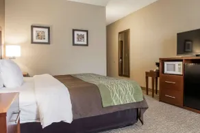 Comfort Inn Edinburg South - Chambre