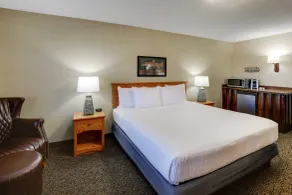 Stoney Creek Hotel Quad Cities - Moline - Chambre