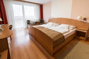Hotel Barátság Hajdúszoboszló Superior - Room