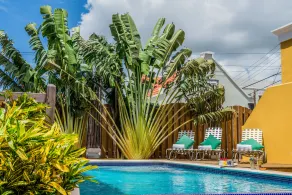 Bario Hotel - Pool