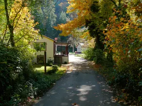 Morrison's Rogue River Lodge - Habitación