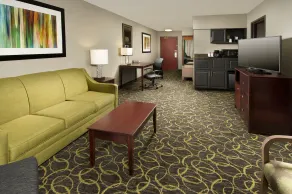 Holiday Inn Express Hotel and Suites DFW-Grapevine by IHG - Chambre