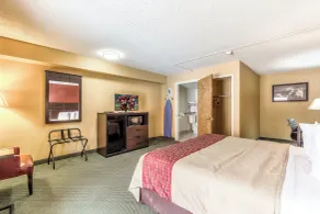 Red Roof Inn Amarillo West - Værelse