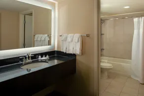 Crowne Plaza Hotel St. Louis Airport by IHG - Room
