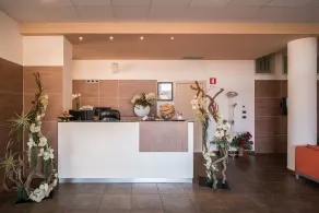 Draconerium Hotel - Reception