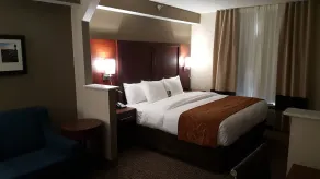 Comfort Suites Knoxville Airport - Chambre