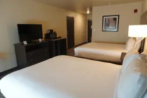 Comfort Inn & Suites Medina NY near Erie Canal - Værelse