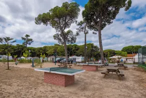 Mobil home avec barbecue - Salle de sport