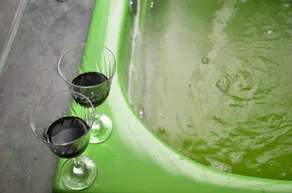 Pousada Silvestre - Baño