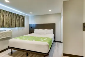 The Shamrock - Room