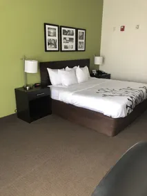 Sleep Inn & Suites Virginia Horse Center - Vue de la chambre