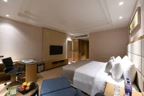 Harsha The Fern Shivamogga, Series by Marriott - Room