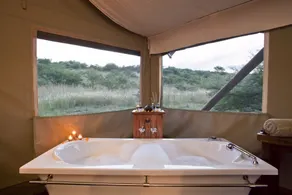 The Springbok Lodge - Baño