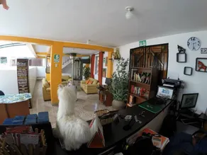 Cusco Packers Hostels - Réception