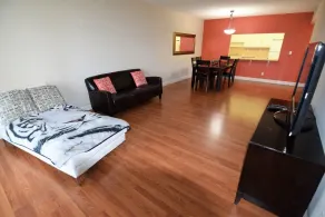 Spectacular 2 Bed 2 Baths Right Across The Beach - Rum