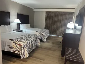 Red Roof Inn Gastonia - Chambre