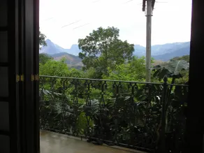 Suites em meio a Mata Atlântica - View from room