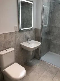 Hamilton Arms - Baño