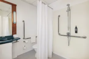 ibis Wellington - Bathroom