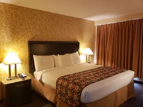 Elmhurst Hotel - Chambre