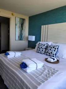Illinois Beach Hotel - Chambre