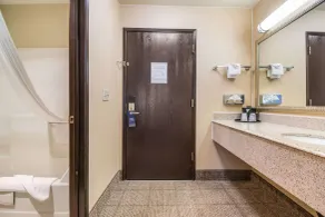 Comfort Inn Newport - Salle de bain
