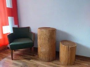 B&B Hotel Alpenrösli - Værelsesfacilitet