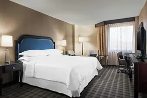 Sheraton Charlotte Airport - Chambre