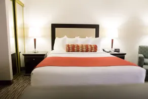 Admiral Inn Hamilton - Chambre