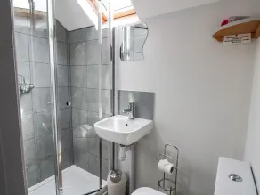 Ty Hir at Blaenbrynich Farm - Bagno