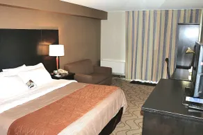 Comfort Inn Lakeshore - Chambre